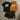 KIT CONJUNTO GEAR 5