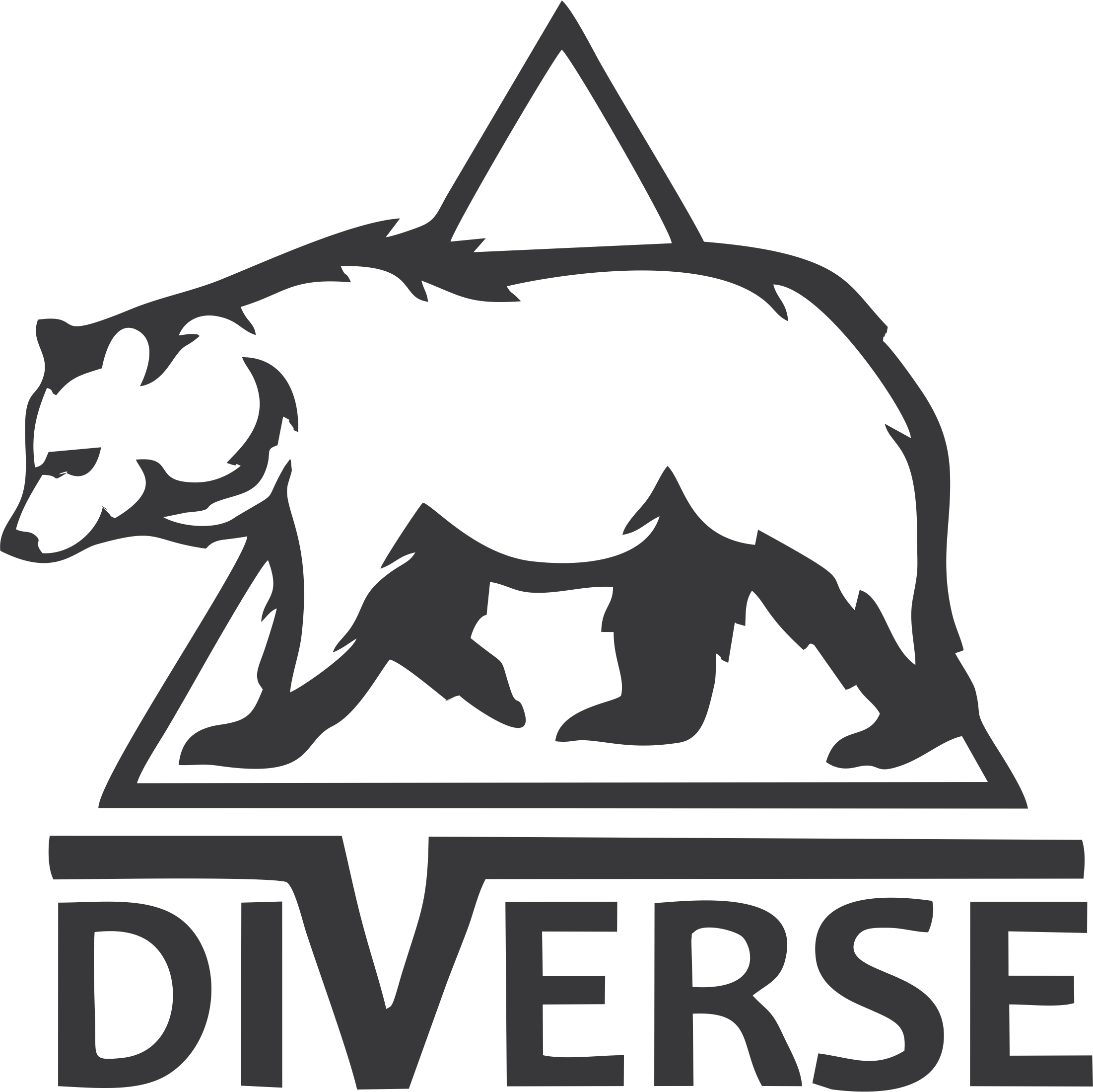 DIVERSE
