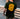 CAMISETA JESUS NEVER